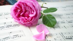 A pink flower resting on a book with sheet music in it